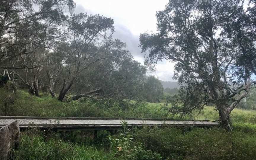 Eagleby Wetlands, Eagleby, QLD