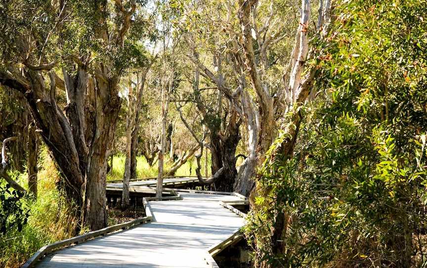 Eagleby Wetlands, Eagleby, QLD