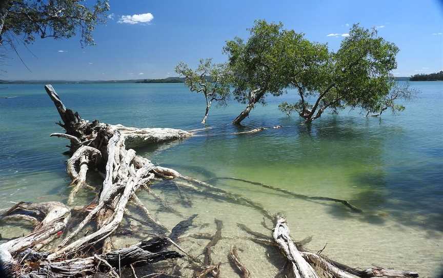 Tilligerry Habitat, Tanilba Bay, NSW