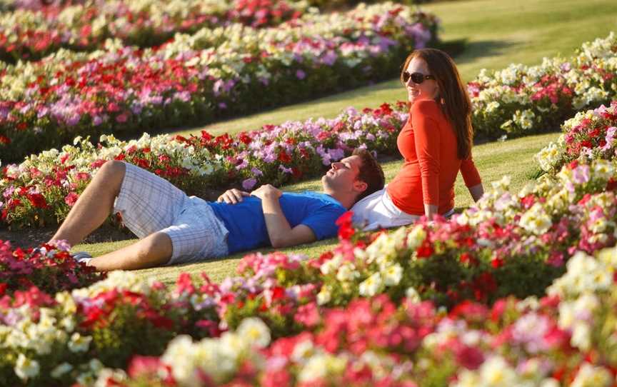 Victoria State Rose Garden at Werribee Park, Werribee South, VIC