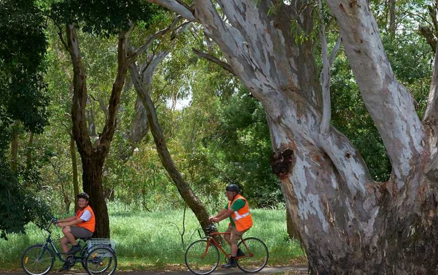 Seven Creeks Walking Track, Euroa, Euroa, VIC