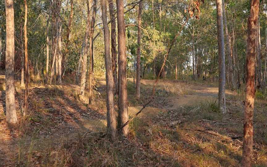 Grande Park, Springfield Lakes, QLD