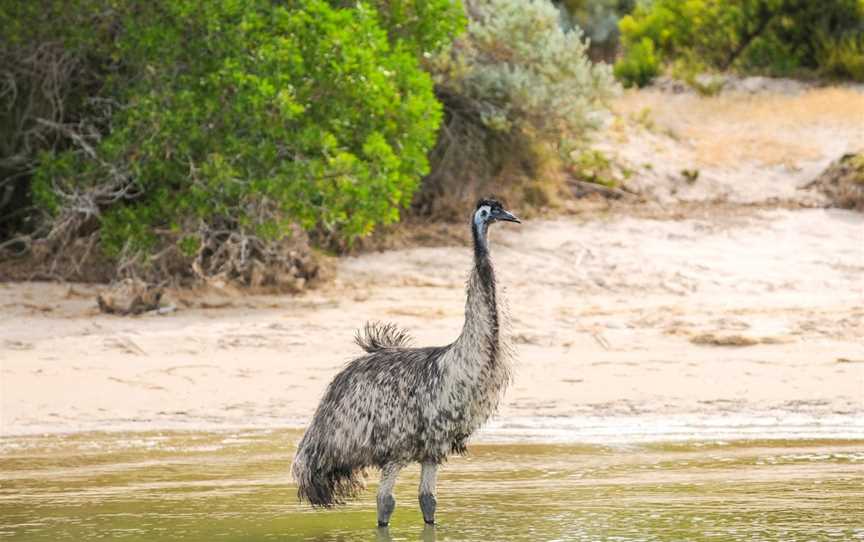 42 Mile Crossing Coorong National Park, Coorong, SA