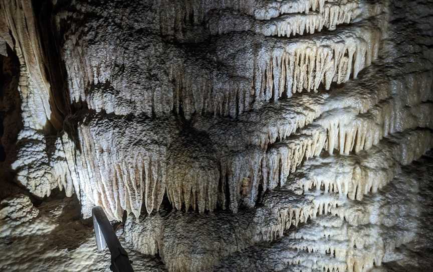 Gunns Plains Caves, Gunns Plains, TAS