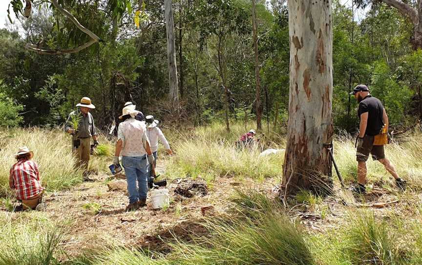 Great West Walk - Blacktown section, Quakers Hill, NSW