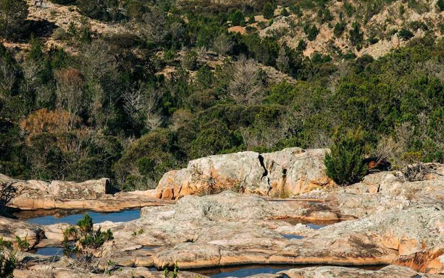 Yeldulknie Conservation Park Hiking Trail, Cleve, SA