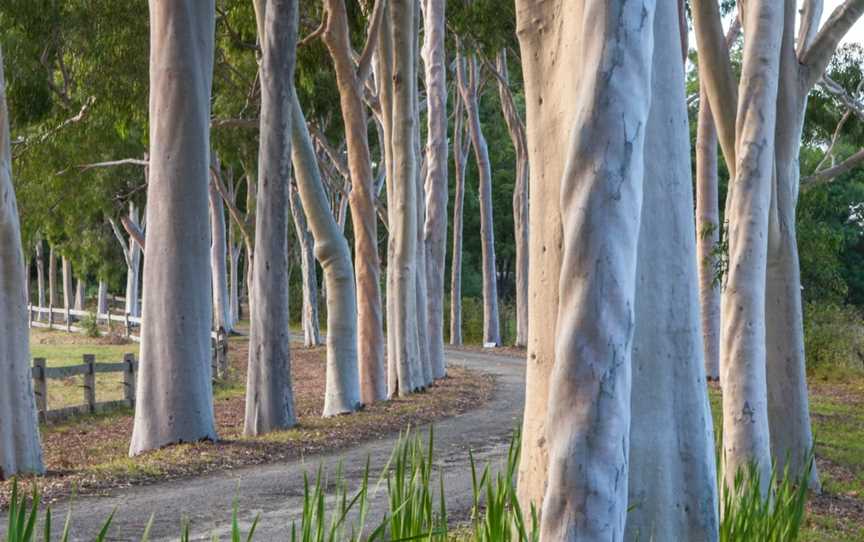 Cruden Farm, Langwarrin, VIC