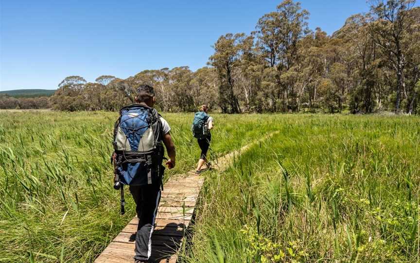 Hume & Hovell Track, Marchmont, NSW