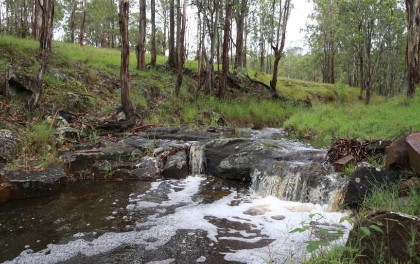 Dungog Common Recreation Reserve, Dungog, NSW