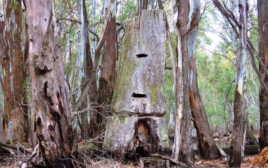 Gunbower Island Forest Drive, Cohuna, VIC