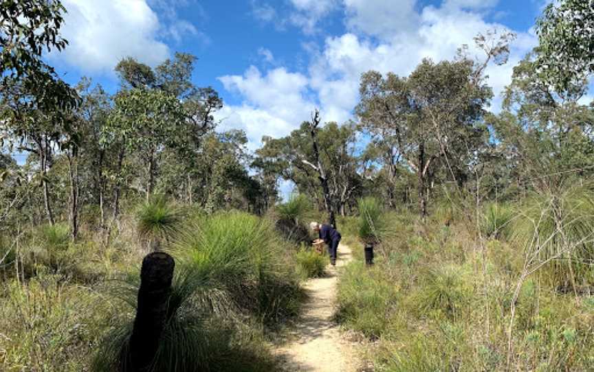 Ambergate Reserve, Chapman Hill, WA