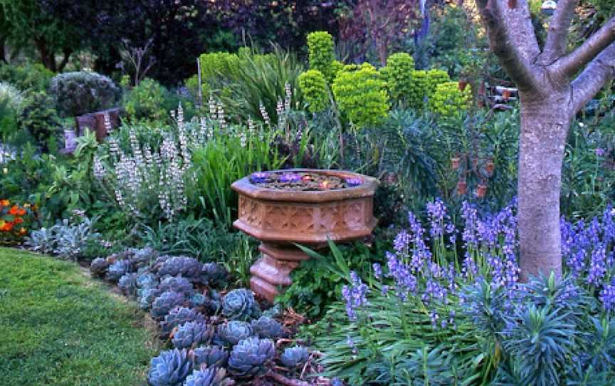 Out of Town Nursery and Humming Garden, Chiltern, VIC