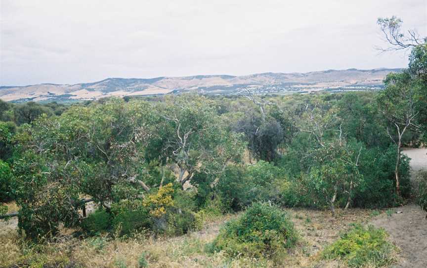 Aldinga Scrub Conservation Park, Aldinga Beach, SA