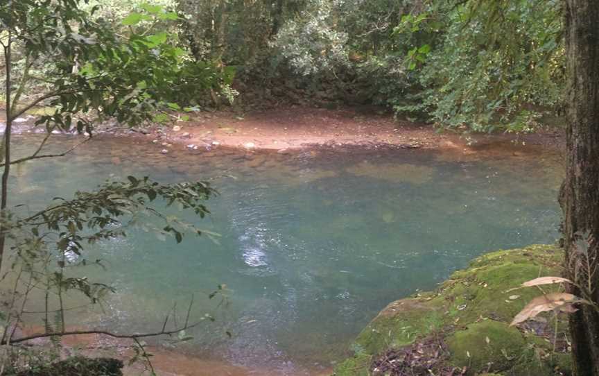 Chichester State Forest - Allyn River, Upper Allyn, NSW