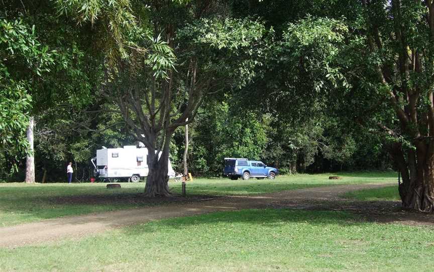 Amamoor State Forest, Amamoor, QLD