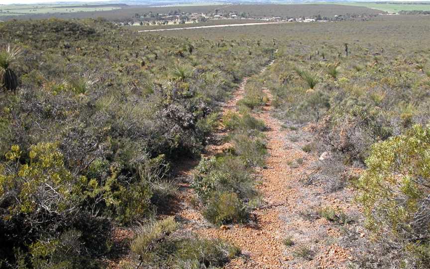 Badgingarra National Park, Badgingarra, WA