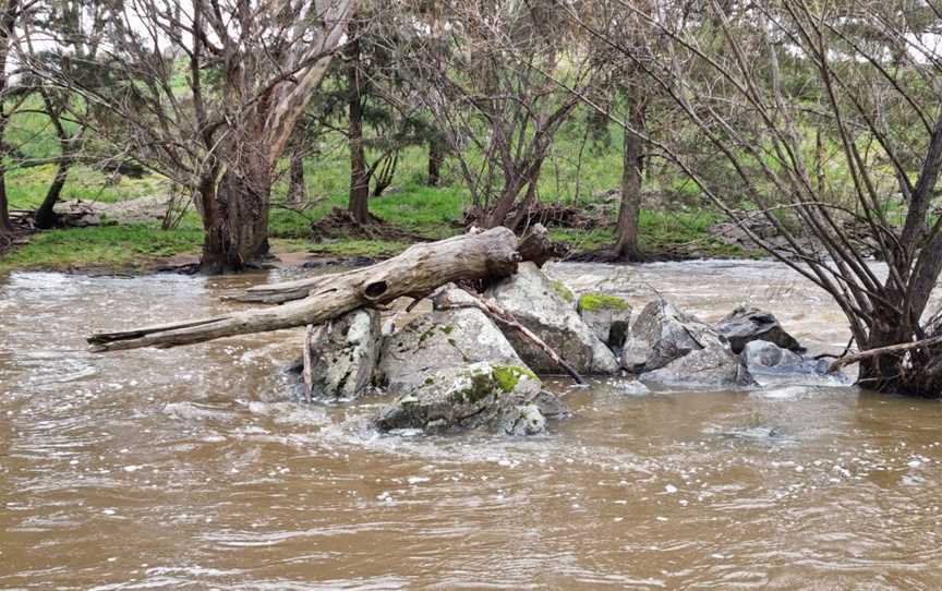 Bakers Shaft Reserve, Burnt Yards, NSW