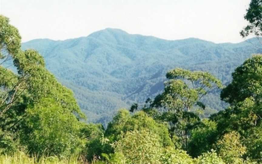 Willi Willi National Park, Banda Banda, NSW