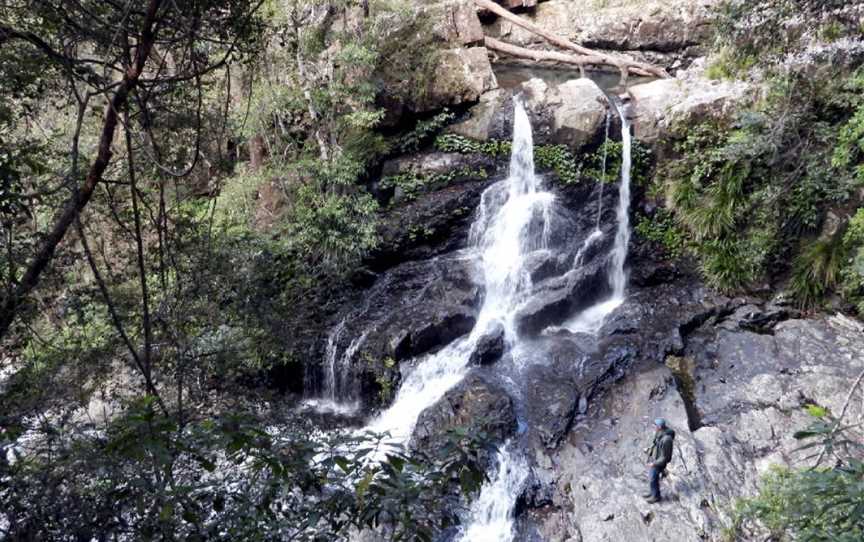 Bangalore Falls Walking Track, Brooklana, NSW