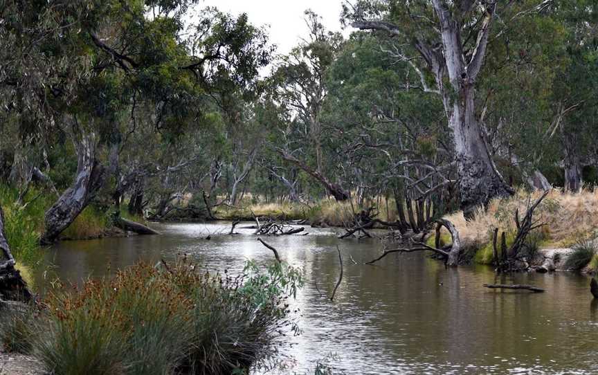 Weir Park and Wetlands, Horsham, VIC