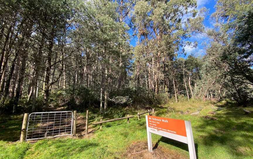 Mount Torbreck Summit Walk, Eildon, VIC