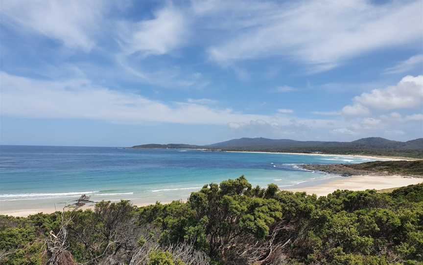 Murramarang Aboriginal Area, Bawley Point, NSW