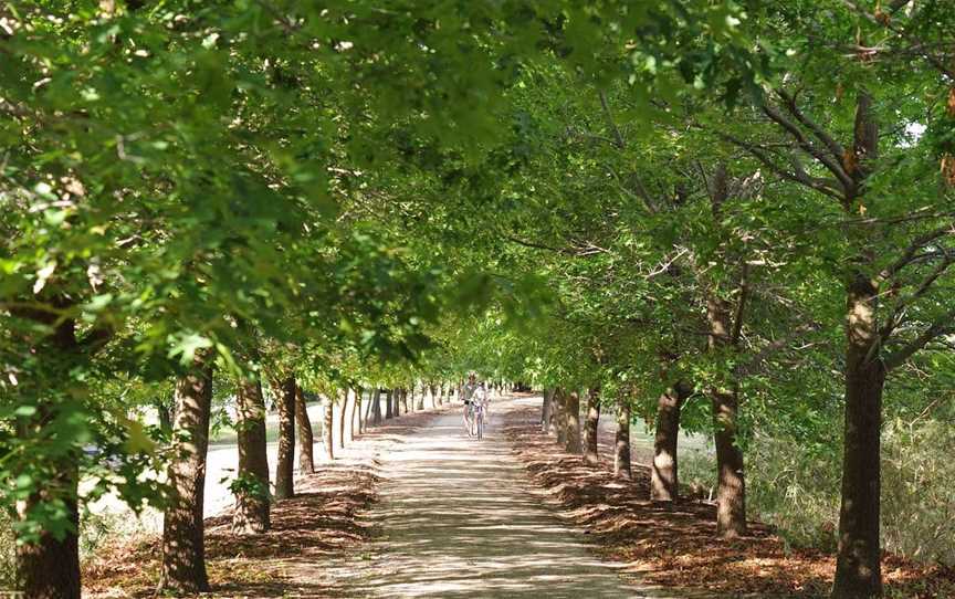 Beechworth to Everton Station Cycling Trail, Beechworth, VIC