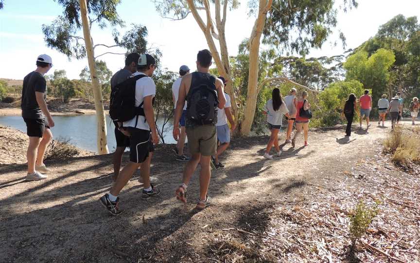 Merredin Peak Trail, Merredin, WA