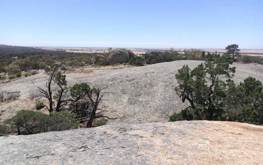 Terrick Terrick National Park, Mitiamo, VIC