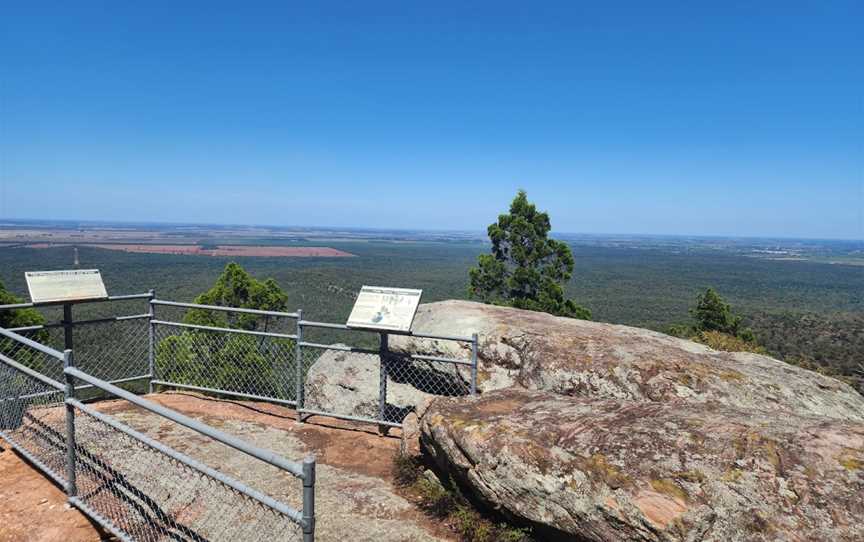 Mount Brogden Walking Track, Binya, NSW