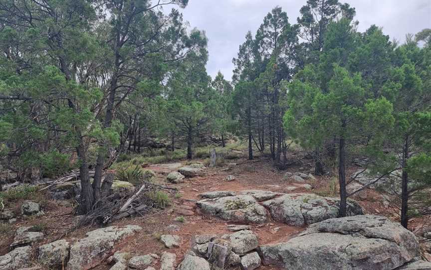 Mount Brogden Walking Track, Binya, NSW