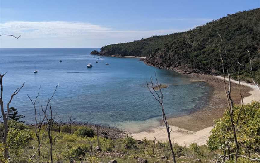 Blue Pearl Bay, Hayman Island, QLD