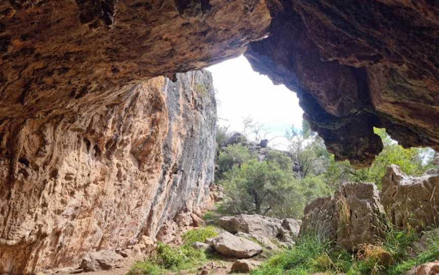 Borenore Karst Conservation Reserve, Borenore, NSW