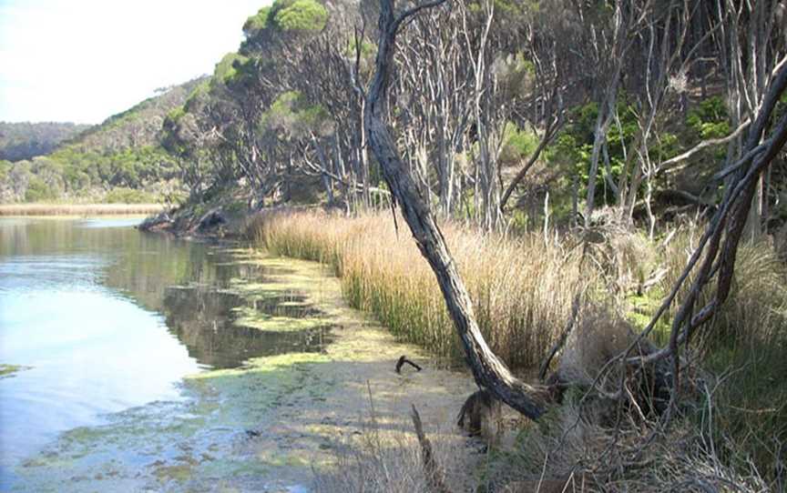 Bournda Lagoon, Bournda, NSW