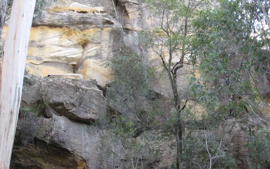 Box Vale Walking Track and Picnic Area, Woodlands, NSW