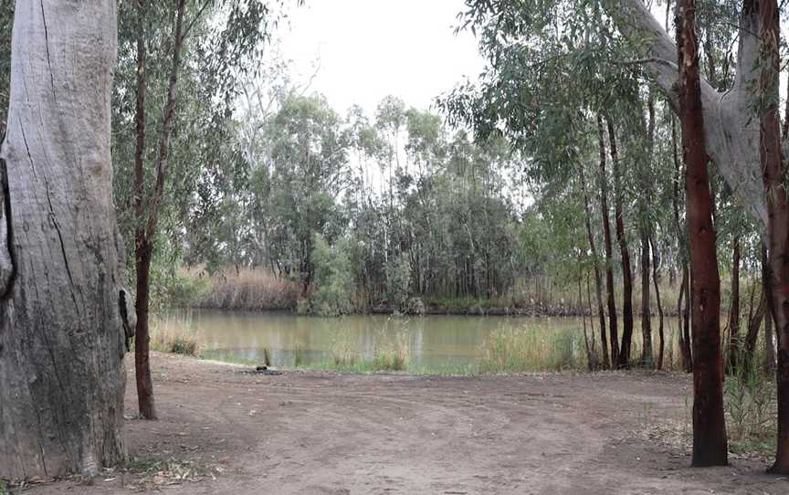 Rilli Reserve, Loxton North, SA