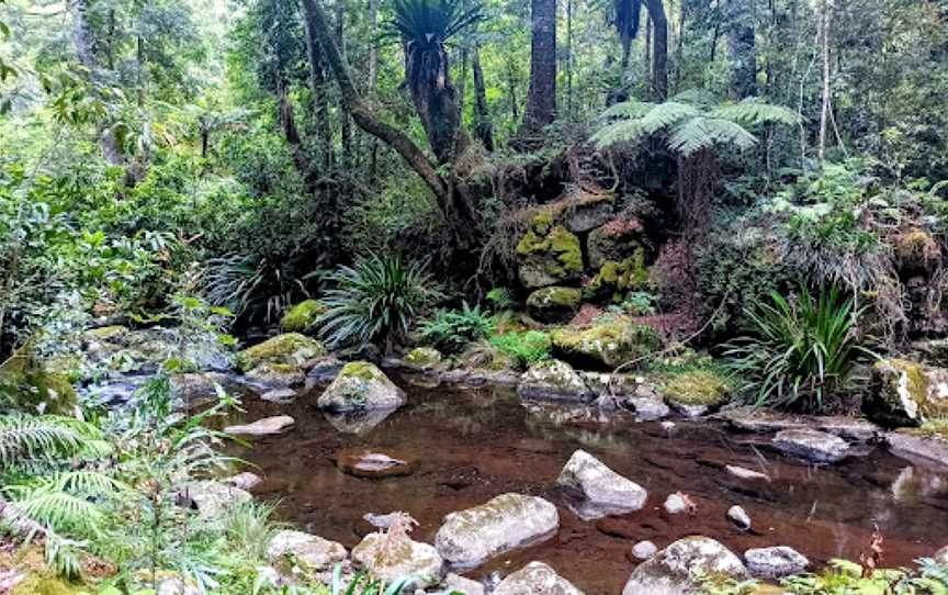 Brindle Creek Walking Track, Border Ranges, NSW