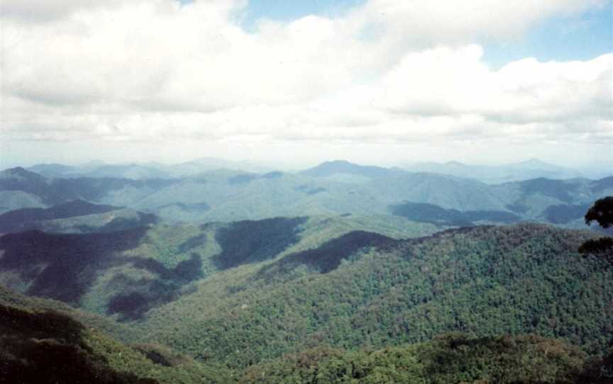 New England National Park, Brinerville, NSW