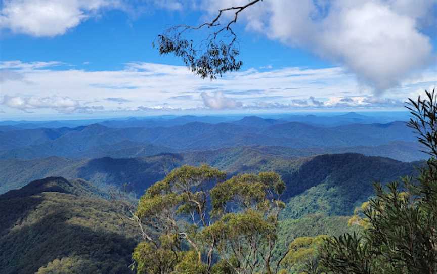 New England National Park, Brinerville, NSW