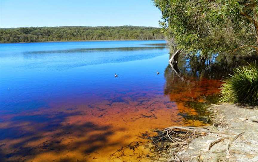 Brown Lake, North Stradbroke Island, QLD