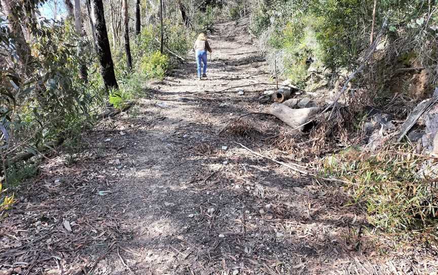 Rowleys Rock lookout, Bulga Forest, NSW