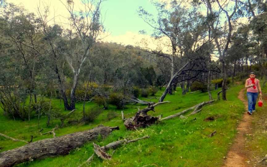 Livingstone National Park, Burrandana, NSW