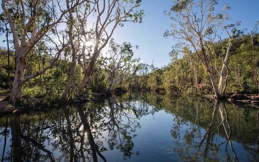 Byfield National Park, Conservation Park and State Forest, Byfield, QLD