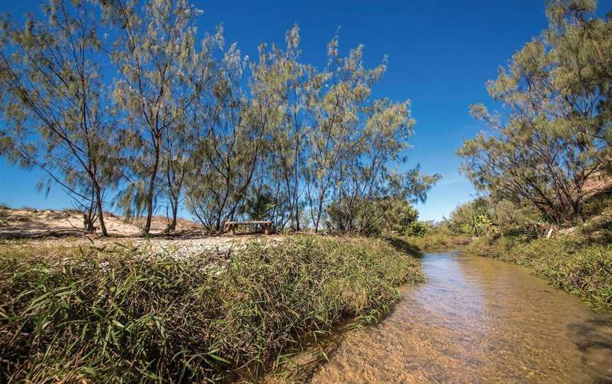 Byfield National Park, Conservation Park and State Forest, Byfield, QLD