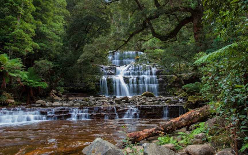 Liffey Falls Reserve, Liffey, TAS