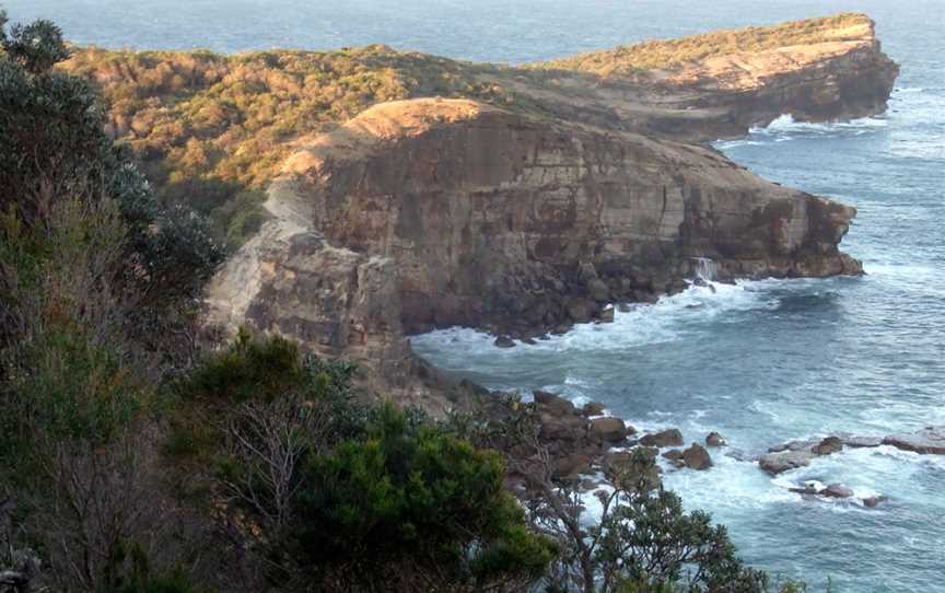 Kattang Nature Reserve, Camden Head, NSW