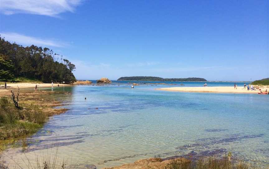 Snorkelling Candlagan Creek, Broulee, NSW