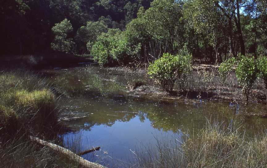 Marramarra National Park, Canoelands, NSW