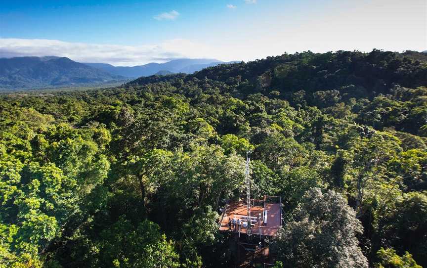 Daintree Discovery Centre, Cow Bay, QLD