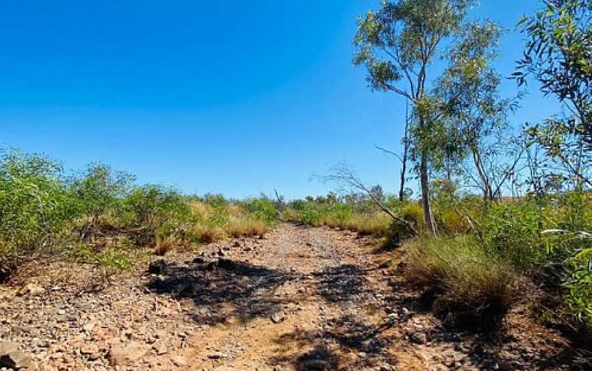 Ngurin Bush Tucker Trail, Roebourne, WA